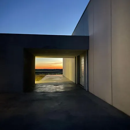 Bodega Discolo