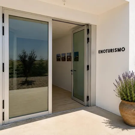 Bodega Díscolo Hotel *