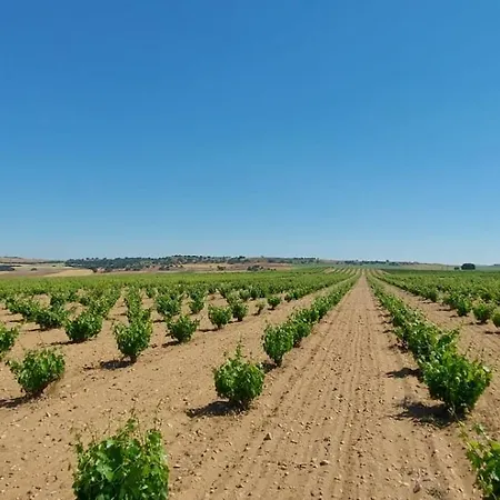 Отель Bodega Discolo Самора
