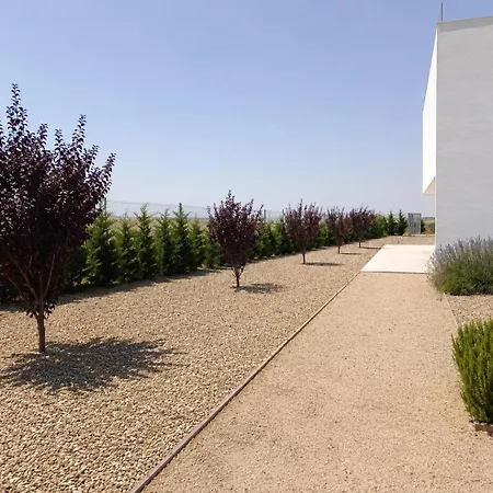 Bodega Díscolo * Zamora