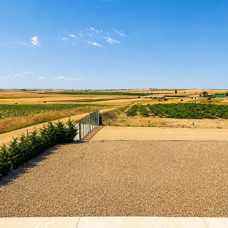 Bodega Discolo Самора