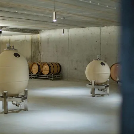 Bodega Discolo * Самора