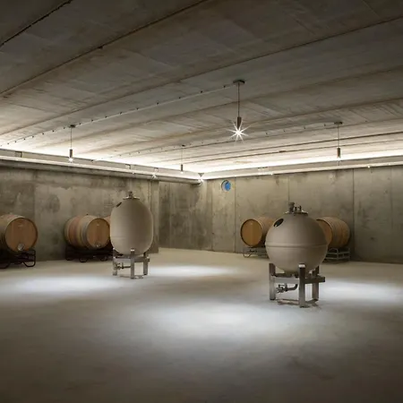 Bodega Discolo *