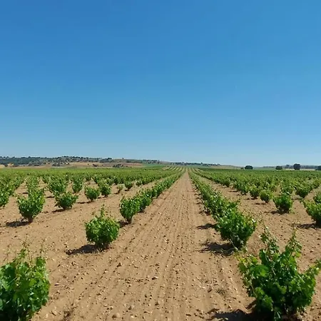 Отель Bodega Discolo Самора