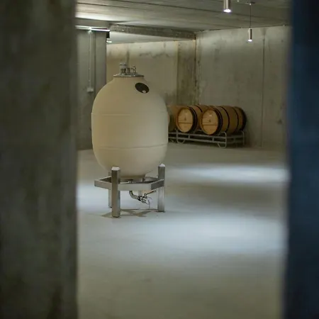 Bodega Discolo
